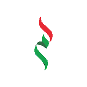 Amer Logo Preloader